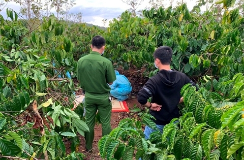 Đắk Nông: Làm rõ nguyên nhân cái chết của người phụ nữ trong rẫy