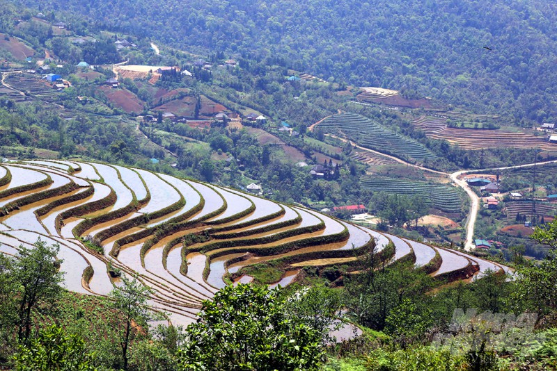 Những thang ruộng Y T&yacute; m&ugrave;a nước đổ.  