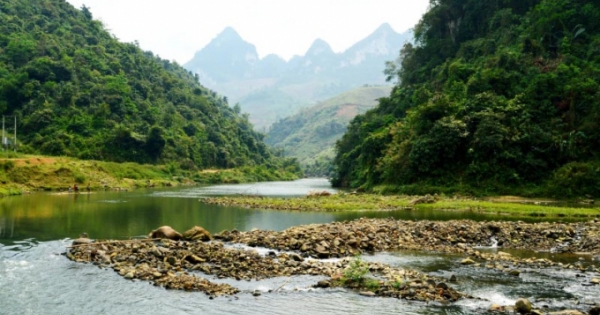 Tổng Công ty chè và UBND tỉnh Yên Bái đang lãng phí gần 100ha đất