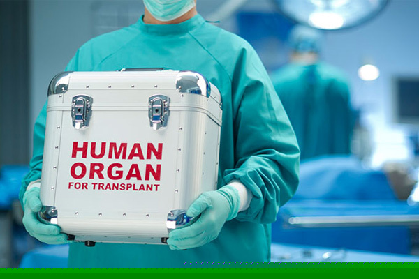 Ảnh minh họa: Arabian Business