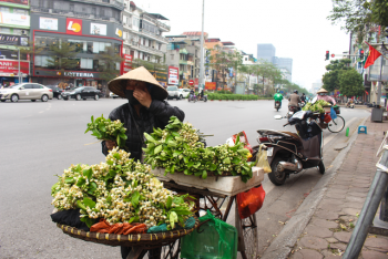 Chán mai, ngán đào, dân Hà Thành "đổi gió" mua hoa quê thơm nức về bày