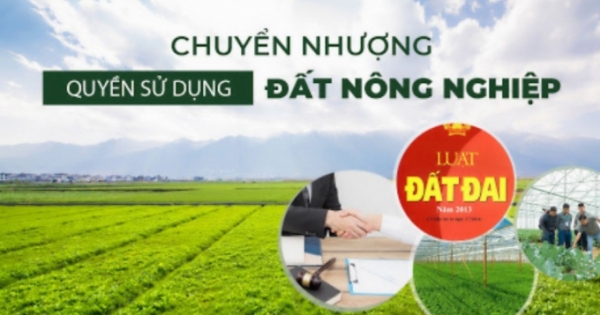 Đất nông nghiệp chưa có sổ đỏ có được phép chuyển nhượng không?