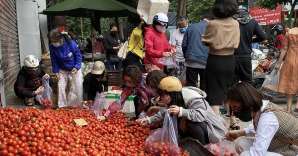 Giải cứu nông sản Hải Dương: Cần những kịch bản ứng phó mới