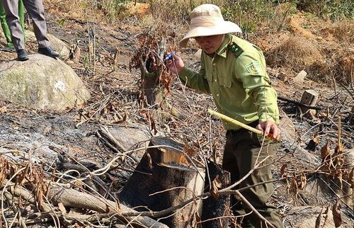 8b31caa7f6e51fbb46f4