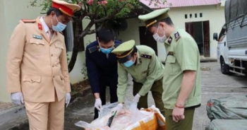 Lạng Sơn: Bắt quả tang đối tượng vận chuyển 2,5 tấn nầm lợn đang bốc mùi hôi thối