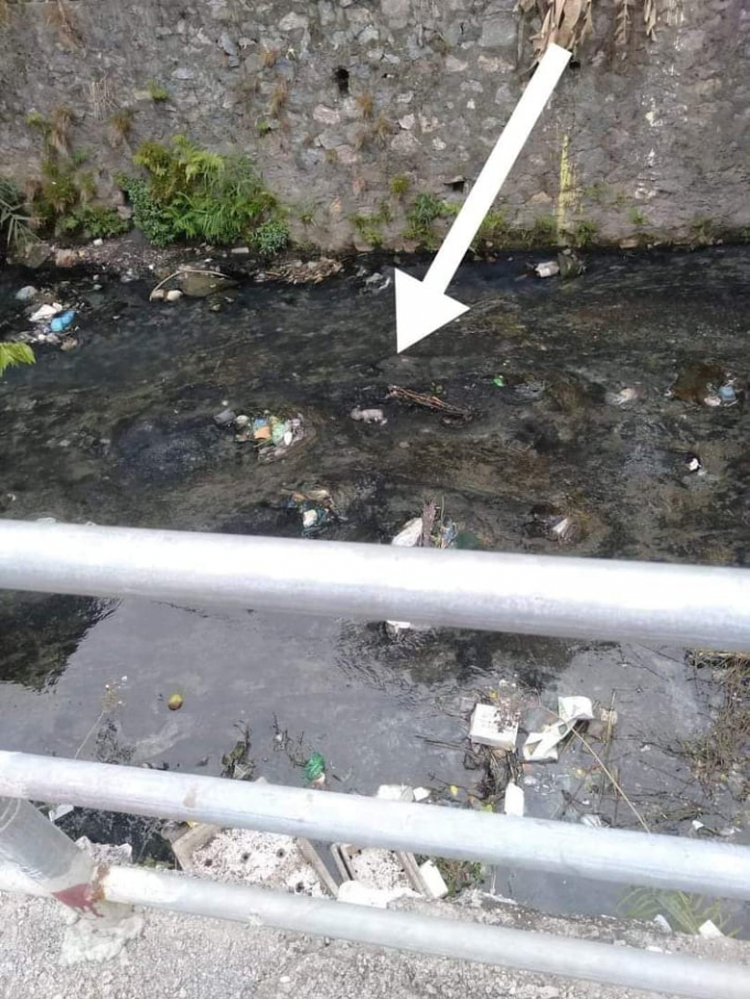 154932967_289331989282011_4358774607141483403_n