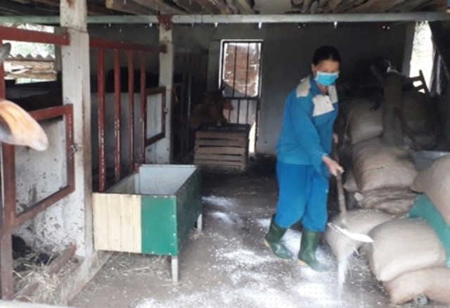 Người dân tiến hành vệ sinh, khử trùng chuồng trại tránh bệnh dịch lây lan.