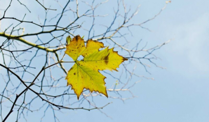 B40A281F-B91B-48E3-8205-B5D125F9C133.