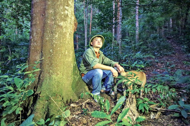 &ldquo;Giữ đạo&rdquo; với rừng ảnh 1