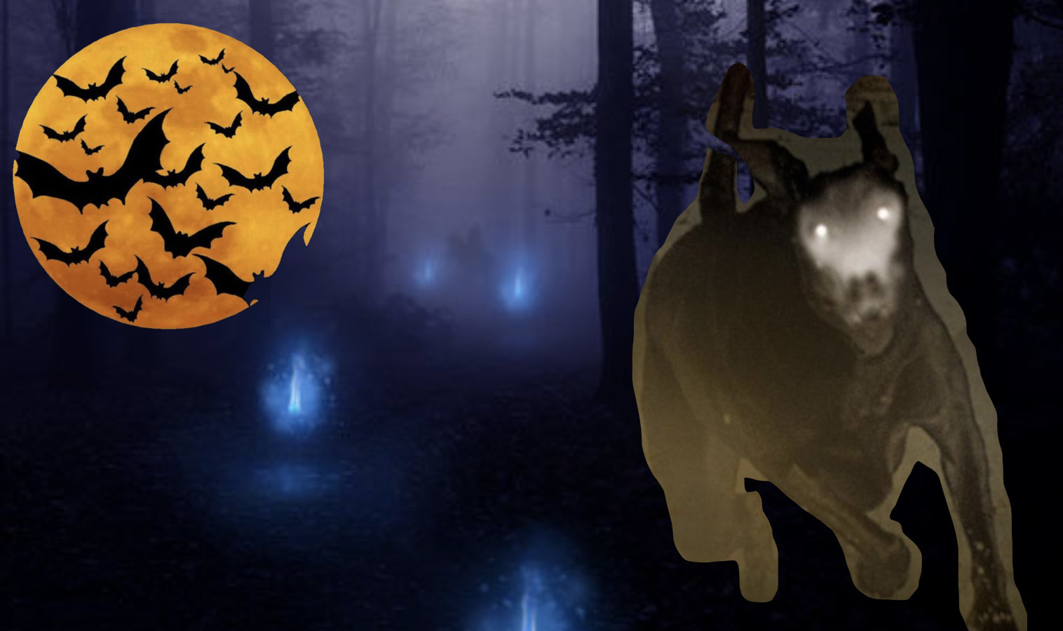 C&aacute;ch d&ugrave;ng vũ kh&iacute; hủy diệt v&agrave; con mắt ph&aacute;t s&aacute;ng trong đ&ecirc;m của vua Quang Trung