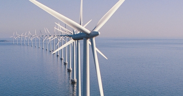 Xem xét việc đề xuất đầu tư Nhà máy Điện gió Vạn Thạnh