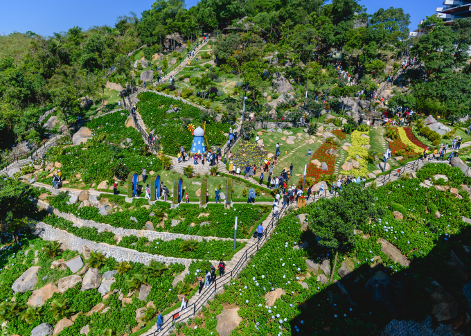 Với vẻ đẹp hoa tulip bừng nở trên đỉnh núi, miễn phí vé tham quan vào cổng, điều kiện thời tiết thuận lợi, dịch COVID- 19 được kiểm soát tốt và đặc biệt  an ninh trật tự được đảm bảo. Dịp tết Nhâm Dần 2022 đã thực sự có sức hấp dẫn, thu hút gần 1 triệu lượt du khách tham quan.