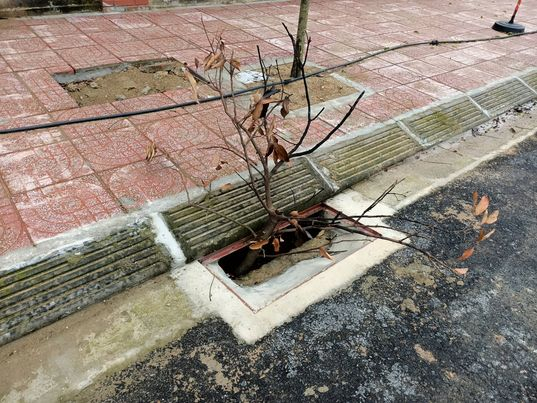 273242395_311136284389163_2873474912028794321_n