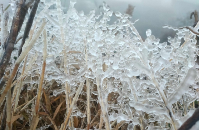 Nhiều nơi ở Hà Giang và Lào Cai xuất hiện băng giá