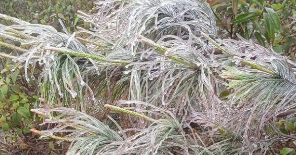 Quảng Ninh: Nhiều nơi xuất hiện băng, đá do ảnh hưởng của rét đậm, rét hại