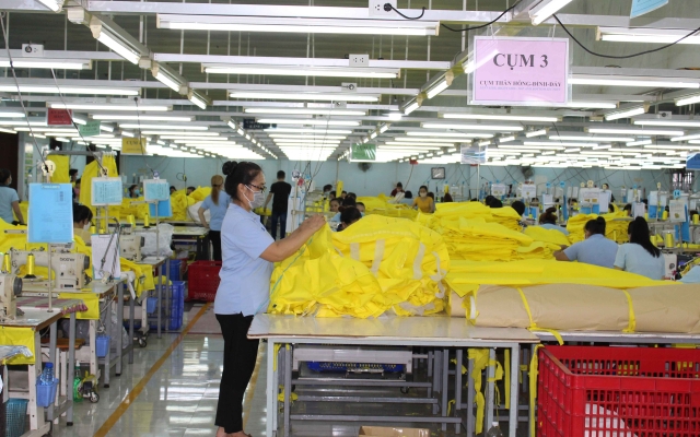 Công ty CP Dệt may Gia Định bị dừng làm thủ tục hải quan khi xuất khẩu hàng