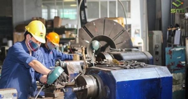 Dừng làm thủ tục hải quan đối với Công ty Tân Phú Cường