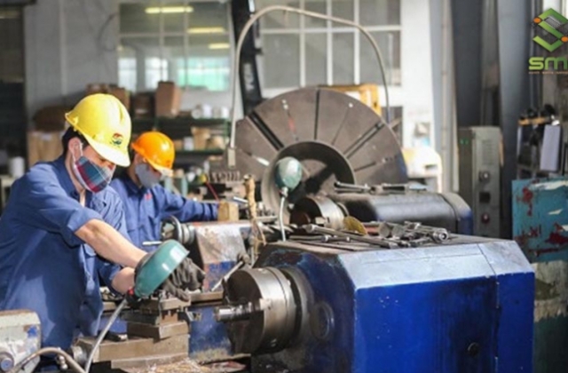 Dừng làm thủ tục hải quan đối với Công ty Tân Phú Cường