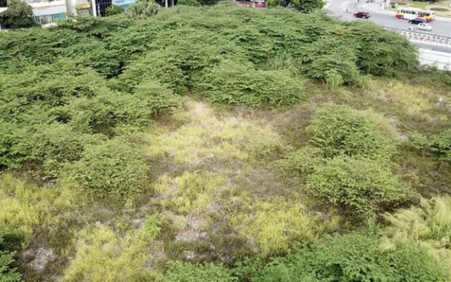 Chủ đầu tư 'bỏ của chạy lấy người' sau nhiều năm không làm xong dự án