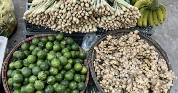 Giá gừng, sả, chanh loạn cào cào vì nhu cầu xông hơi chữa Covid-19