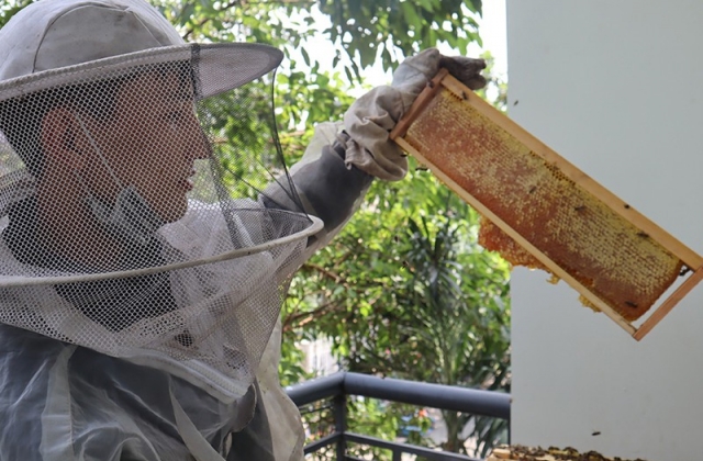 C&uacute; sốc thuế hơn 400% với mật ong Việt Nam