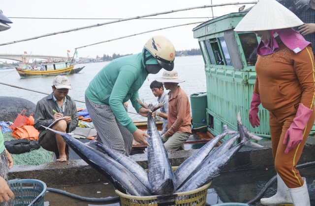 Kế hoạch gỡ cảnh báo