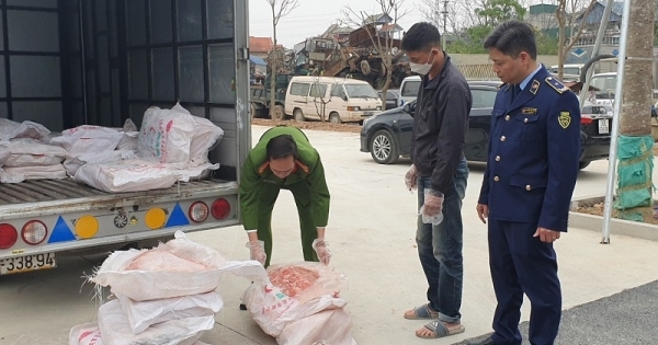 Hà Nội: Phát hiện, thu giữ gần 1 tấn nầm lợn không rõ nguồn gốc