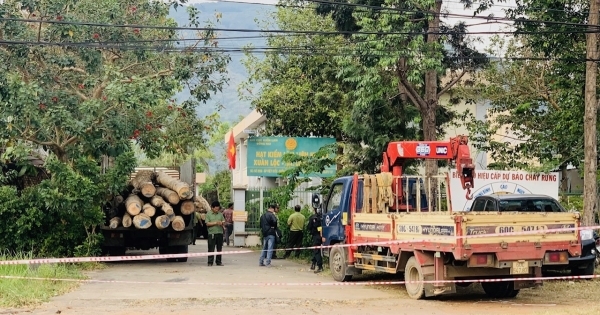 Khởi tố hình sự hành vi phá rừng phòng hộ tại Đồng Nai