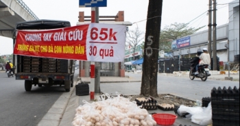 Cảnh giác với những lời chào mời "giải cứu" mua trứng gia cầm không rõ nguồn gốc