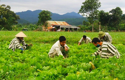 5 bị án được Chủ tịch nước ký quyết định ân giảm hình phạt tử hình xuống tù chung thân
