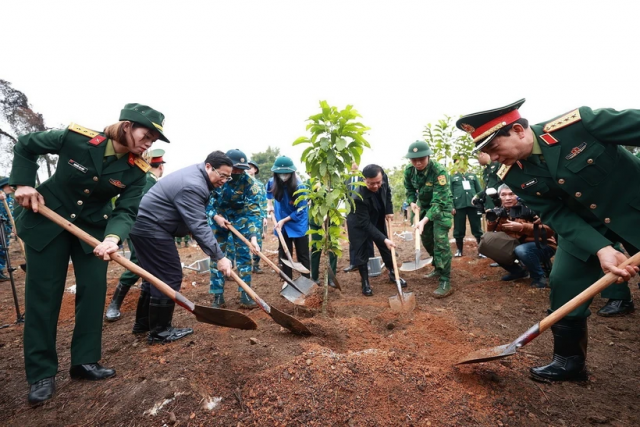 Thủ tướng chỉ thị tổ chức Tết trồng cây, tăng cường công tác quản lý, bảo vệ, phát triển rừng