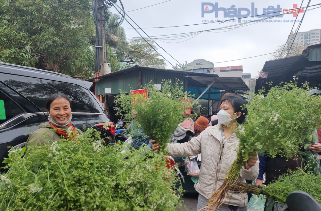 Vì sao người Việt thường tắm lá mùi già vào chiều 30 Tết?