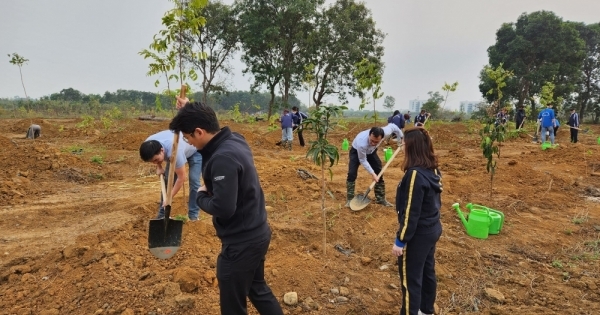 Ngành Giáo dục đẩy mạnh “Tết trồng cây đời đời nhớ ơn Bác Hồ” Xuân Giáp Thìn 2024