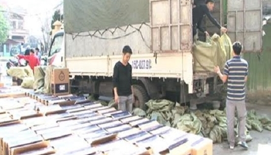 Hải Phòng: Bắt giữ vụ vận chuyển 115.500 bao thuốc lá lậu