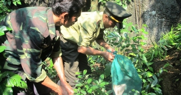 Quảng Bình: Thả nhiều động vật hoang dã về Vườn Quốc gia Phong Nha-Kẻ Bàng