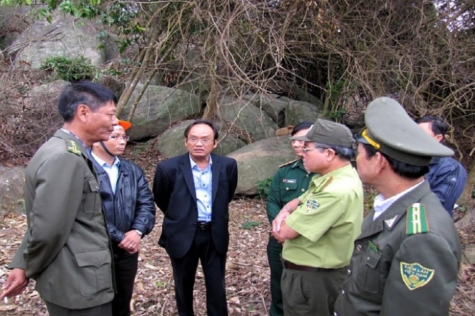 L&atilde;nh đạo TP Đ&agrave; Nẵng đi kiểm tra rừng Sơn Tr&agrave; sau khi vụ ph&aacute; rừng được người d&acirc;n phản &aacute;nh.