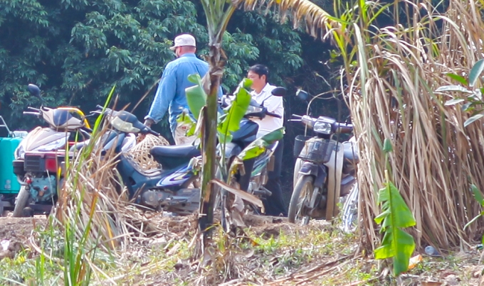 Ekip l&agrave;m việc trong sự lặng&nbsp;lẽ vốn c&oacute;.