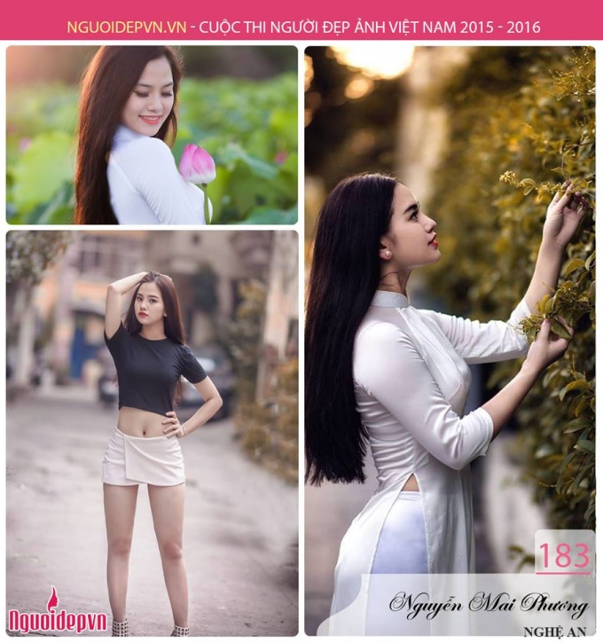 Th&iacute; sinh Nguyễn Mai Phương, SBD 183, Nghệ An