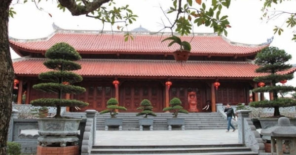 Hầm rượu quý trong biệt phủ quý trăm tỷ đại gia xứ Nghệ