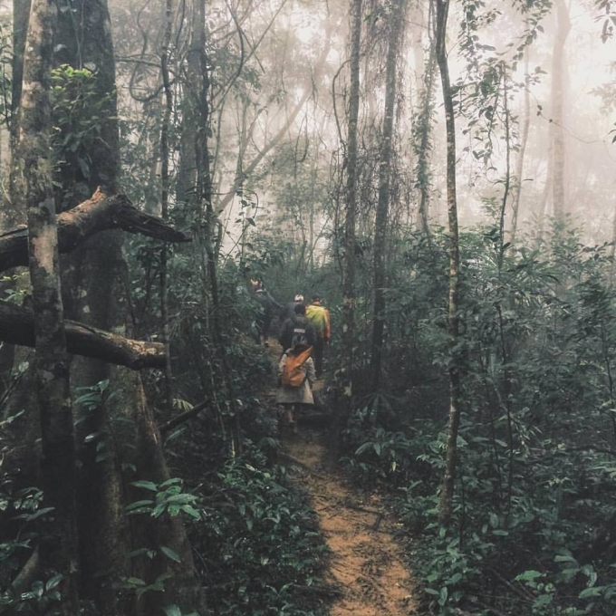 &nbsp; &nbsp; &nbsp; &nbsp; &nbsp; &nbsp; &nbsp; &nbsp; &nbsp; &nbsp; &nbsp; &nbsp; &nbsp; &nbsp; &nbsp; &nbsp; &nbsp; &nbsp; &nbsp; &nbsp; &nbsp; &nbsp; &nbsp; &nbsp; &nbsp; &nbsp; &nbsp; Đo&agrave;n c&ocirc;ng t&aacute;c kiểm tra rừng tại bản Đo&ograve;ng.