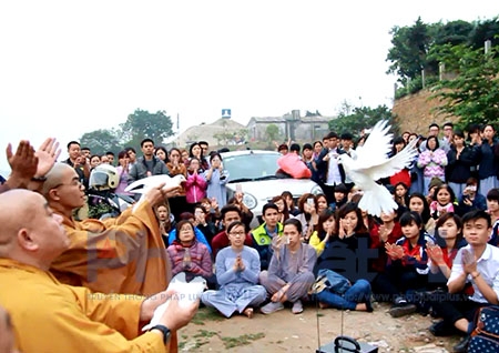 (M&agrave;n ph&oacute;ng sinh chim bồ c&acirc;u của sư thầy c&ugrave;ng c&aacute;c phật tử).