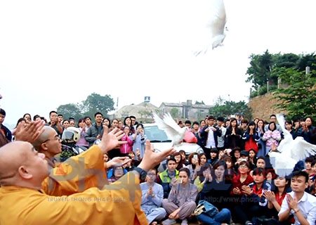 Cũng tại đ&acirc;y, c&aacute;c sinh vi&ecirc;n, phật tử thuộc c&acirc;u lạc bộ thanh thiếu ni&ecirc;n ch&ugrave;a Đ&igrave;nh Qu&aacute;n đ&atilde; được c&aacute;c sư thầy thỉnh giảng về &yacute; nghĩa của việc ph&oacute;ng sinh tạo phước l&agrave;nh.