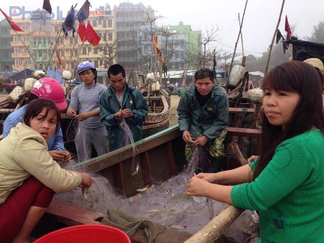 Kh&uacute;c hoan ca của ngư d&acirc;n tại bến thuyền Độc Cước khi mẻ c&aacute; đầu ti&ecirc;n trở về sau hơn chục ng&agrave;y dừng hoạt động. (Ảnh: Anh Thắng)