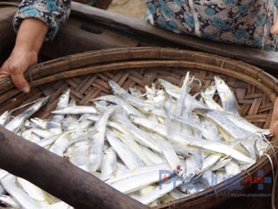 Sau buổi đối thoại trực tiếp với ngư d&acirc;n, B&iacute; thr tỉnh Thanh H&oacute;a khẳng định: b&agrave; con vẫn cứ ra khơi đ&aacute;nh bắt như b&igrave;nh thường. (Ảnh: Anh Thắng)