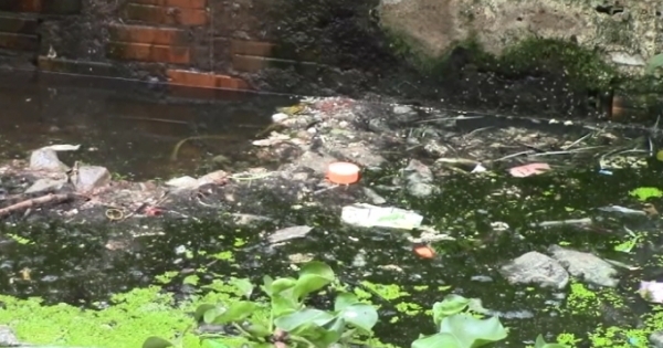 TP HCM: Kênh Gia Định bị "bức tử" từ các lò giết mổ chó