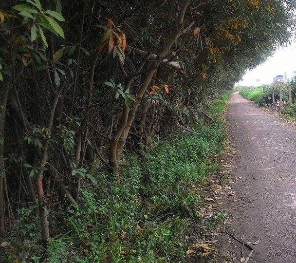 Khu vực nơi xảy ra vụ &aacute;n mạng.