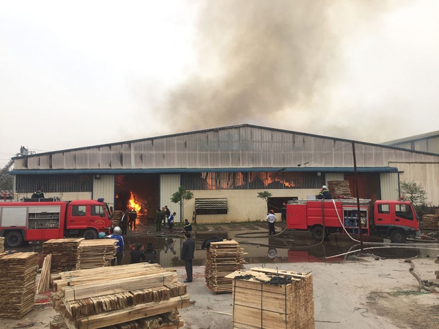 C&ocirc;ng t&aacute;c dập lửa được tiến h&agrave;nh khẩn trương v&agrave; t&iacute;ch cực. (Ảnh: B&aacute; Đo&agrave;n).