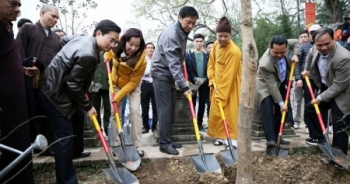 Quảng Ninh: Ươm 999 cây mai vàng nơi Đất thiêng Yên Tử