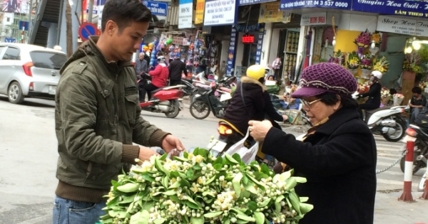 Ngắm Hà Nội tháng 3 nồng nàn hương bưởi