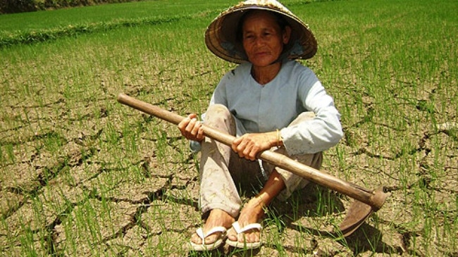 Ảnh minh họa.